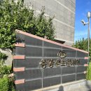 청호로220번길 | 목포 텐더뷰티 고객 맞춤형 헤어라인 왁싱 후기｜통증 없이 빠른 시술에 꼼꼼함까지!