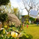 살구나무집민박 이미지