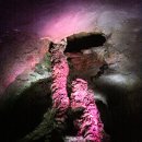 세계최고 용암석주를 구경할수 있는곳 세계자연유산 제주 만장굴 이미지