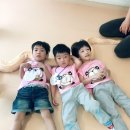 성화2농장 이미지