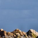 포석로6-1(서) | 경주 Day2: 동에번쩍 서에번쩍 경주여행🚗 (불국사 주차꿀팁, 경주월드, 동궁과월지 입장료 할인)