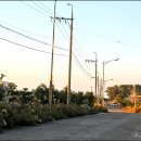 승마공원 이미지