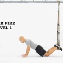 Supended TRX - Ab Crunch 이미지