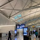 611 | 싱가포르항공 SQ611 후기, 창이공항에서 호텔 6인 택시 이동 feat. 허니문케이크