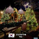 이숲 | 천안 크리스마스 카페 추천/이숲 카페 주말 방문 후기