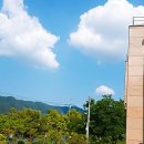 기억나무펜션 이미지