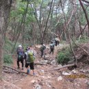 진중2리 이미지