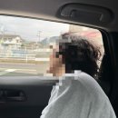 푸들민박 | 사가