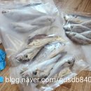 훈이네펜션 이미지