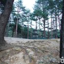 양양 진전사지 도의선사탑 | 신라 구산선문의 효시: 양양 진전사지 도의선사탑, 한국 선종의 뿌리를 찾아 걷는 고요한 여정