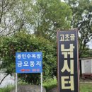 고초골낚시터 | [낚시] 고초골 낚시터 방문 솔직후기