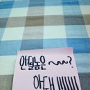 만나소