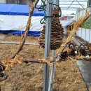 내동네공유주거 이미지