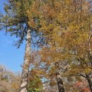 호암약수터 | 전남 순천 조계산 선암사(태고총림)