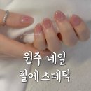 필네일 | [원주네일]필에스테틱 원주단구동네일 내돈내산네일후기 치크네일후기 청순여리네일