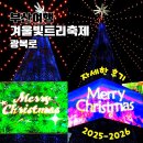 광복지하도상가 | 광복로 트리 빛축제 시간 2025 - 2026 부산 겨울 볼거리 시민 점등 행사 정보