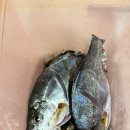 빈스민박 이미지