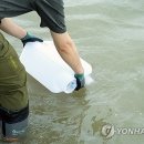 정부, 북한 핵 폐수 의혹 SNS 유포시 고발 이미지
