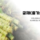 산골네