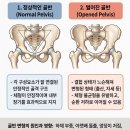 벌원길 | 스무스피부왁싱] 미세전류테라피 하복부 다리관리 후기/피부관리/주차안내/여드름관리/미백관리...
