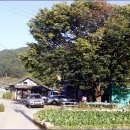 향산리 방향 이미지