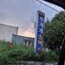 대복무지개송어