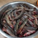 사계절보신탕 이미지