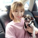 경강로261 이미지