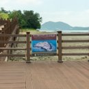 장도청해진유적지 이미지