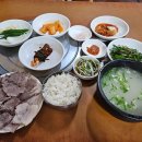 신창무궁화(아) 이미지