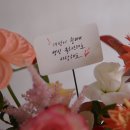 선한이웃병원 | 호주 시험관 임신 후기 31주 차 - 32주 차 기록,