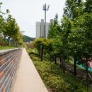 금왕읍 명품가로숲길 이미지