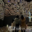 ㈜바디프랜드 광진전시장 | ‘빛의 시어터∙빛의 벙커’, 클림트와 함께 빛나는 설 맞이하세요