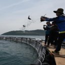 태산수산 이미지