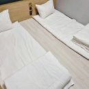 코티스 더 브릿지 이미지