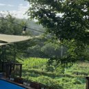 봉자펜션 이미지