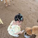 우물가의 미소 | 주말육아 가족 나들이 아이와 갈만한 곳 &#39;찬우물 동물원&#39; 방문