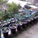 경운목장 이미지