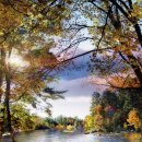 316010 | 33주 서양물산 청담 행사 구매 후기