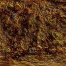 수지구청 이미지