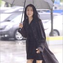봄비패션
