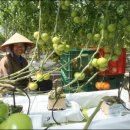 보성군쓰레기소각장 이미지