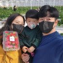 광산농장 이미지