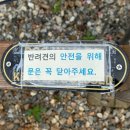 태안풀빌라반디(bandi) | 내돈내산 대부도 애견동반 한옥펜션 풀빌라 반디브 다녀온 후기