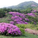 동산관광주 이미지