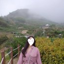 석출민박 | 남해여행코스 (알로하와이-카페루프탑-다랭이마을)