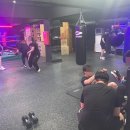 강성복싱체육관 이미지