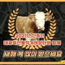 대광식육점 - 충주시 관아1길 12 | 대광식육점