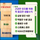 영양주는코치들 이미지