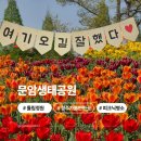 생태공원편의점 | [충북] 청주 문암생태공원 튤립축제 청주가볼만한곳 피크닉장소